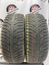 Nexen Winguard Ice Plus  R16 205/60