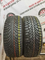 Formula Ice Edge 205/55 91T R16