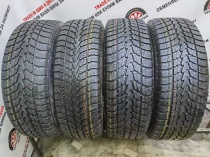 Toyo Winter Tranpath S1 R17 225/65