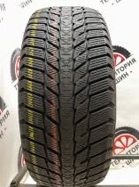 Nexen Winguard Ice Plus 215/55/17