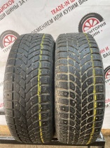 Bridgestone WT-17 R15 195/65 91Q