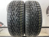 Doublestar Winter King DW01 R16 205/55