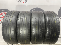 DoubleStar Landsman R18 225/60