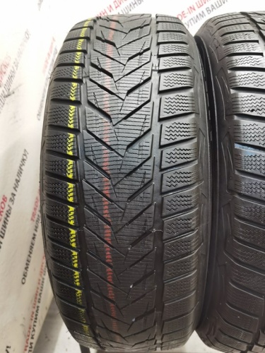 Vredestein Winter Xtreme S R18	225/55