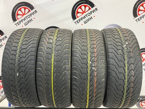 Nexen WinGuard R17 215/55