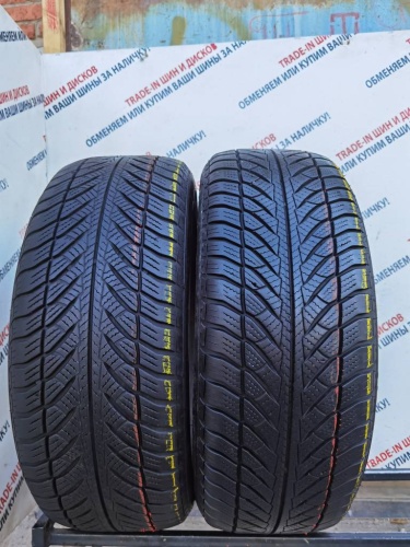 Goodyear UltraGrip Performance R17 225/55