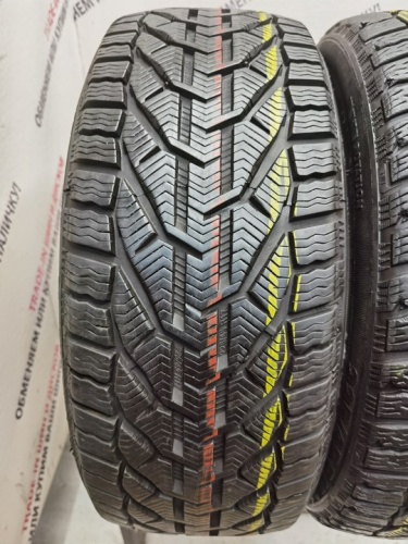 Riken Snow R17 225/45