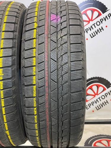 Tourador Winter Pro TSU2 R16 205/55