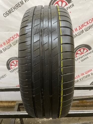Goodyear Effecient Grip Perfomance R17 205/55 95V