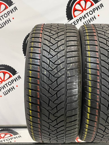 Dunlop Winter Sport 5 R19 255/45