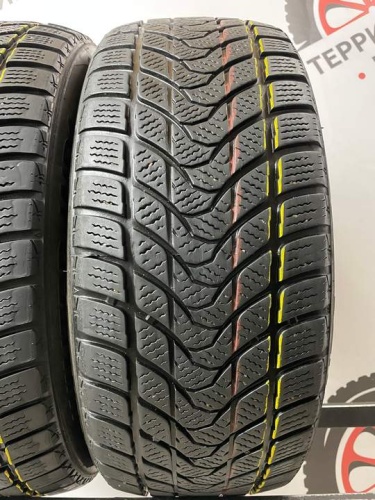 Delinte Winter WD1 R16 205/55