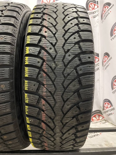 Formula ICE R17 215/60 T100