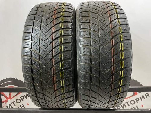 Landsail Winter Lander R17 215/55