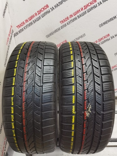 Falken EuroWinter H439 R17	225/55