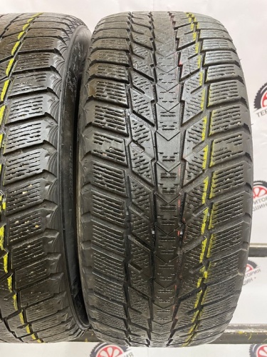Nexen WinGuard Ice Plus R16 195/55 91T