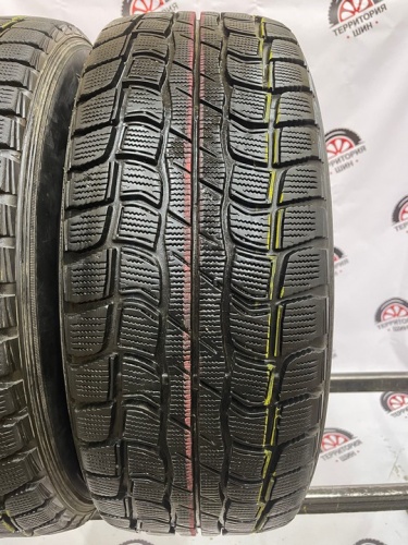 Dunlop Graspic DS-1 R16 225/60 98Q