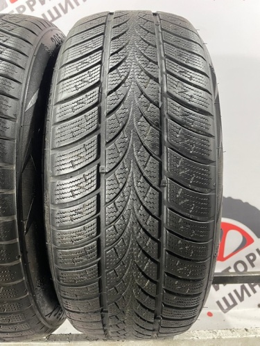 Triangle WinterX TW401 R17 205/55