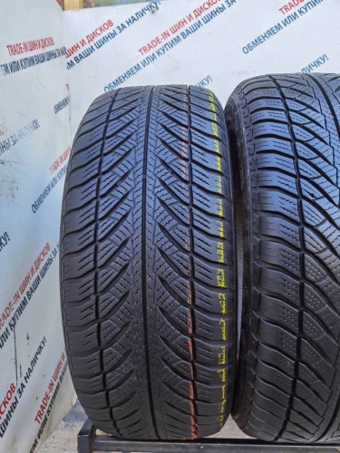 Goodyear UltraGrip Performance R17 225/55