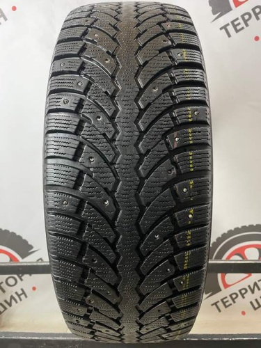 Formula ICE R17 225/65