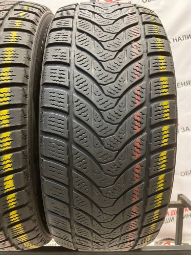 Delinte Winter WD1 R16	215/55