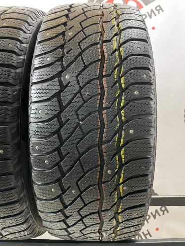 Viatti Bosco Nordico R18 255/55