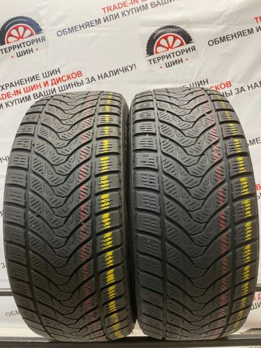 Delinte Winter WD1 R16	215/55