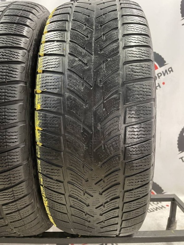 Goodyear UltraGrip Ice R18 225/55