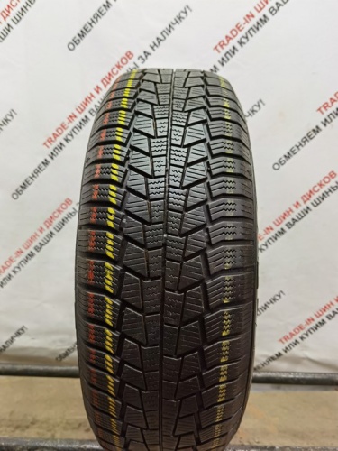 Viking WinTech R15 195/65