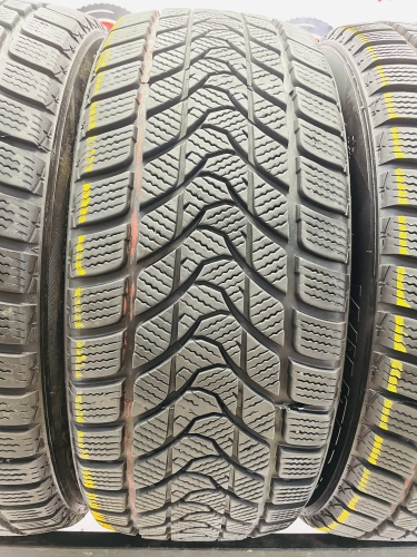 Delinte Winter WD1 R16 205/55