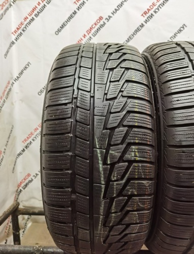 Nokian Tyres  WR G2 225/50 R17