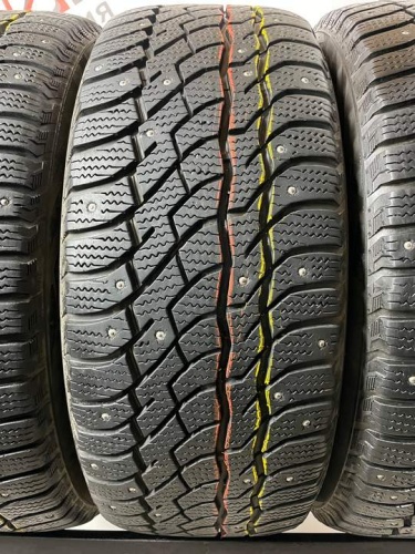 Viatti Bosco Nordico R18 255/55