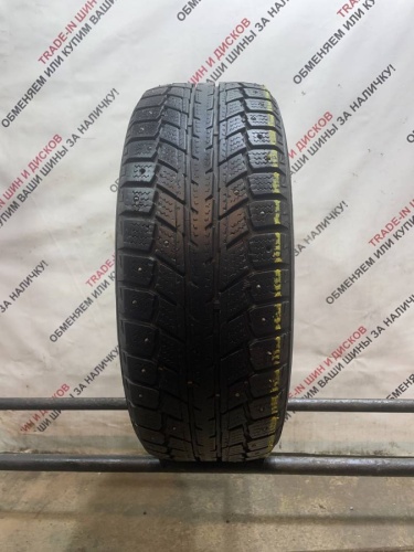 Autogrip Eco Winter 205/55 R16